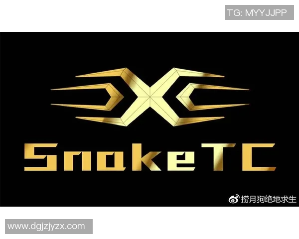 CSGO技术排行榜更新LNG战队荣登第二名引发热议