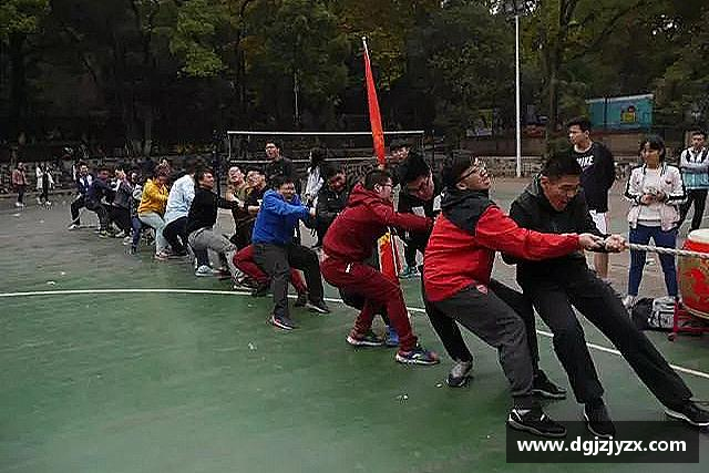 发现九游会
